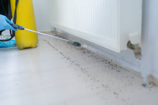 Best Exterminator Services  in Richland, GA