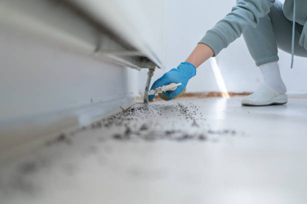 Professional Pest Control in Richland, GA